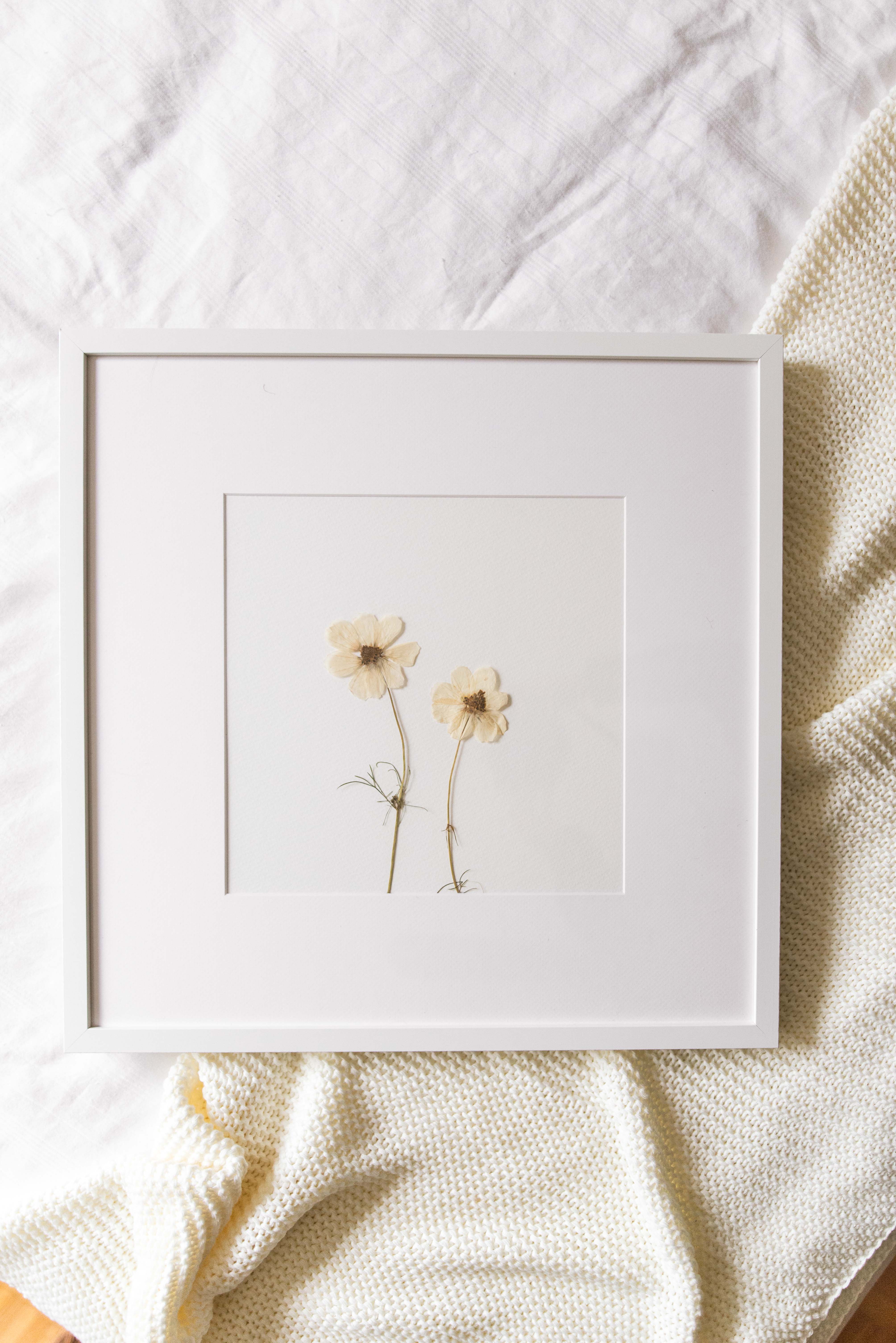 Pressed Flowers - How to Make a Flower Press and Display Pressed